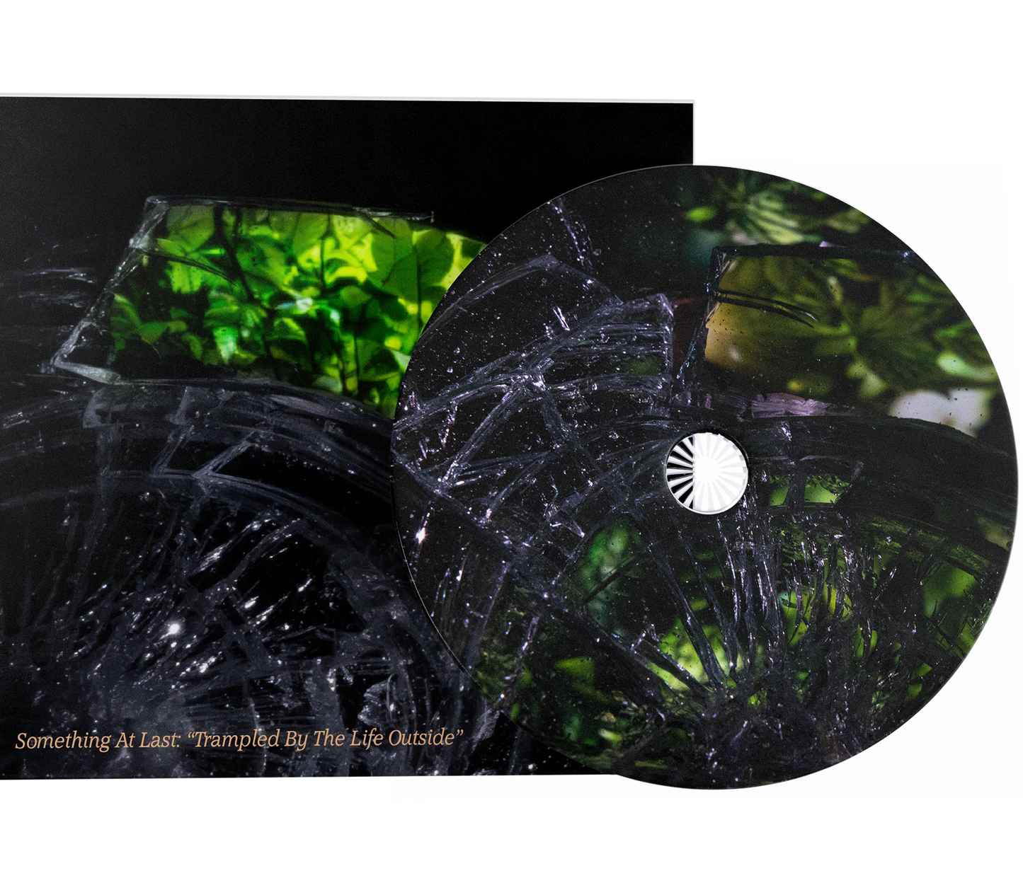 CD "Trampled By The Life Outside"